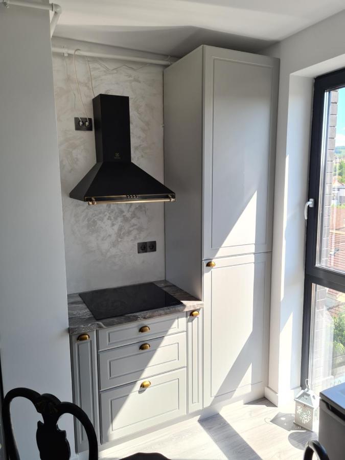 Parisian Apartment Cluj Eksteriør bilde